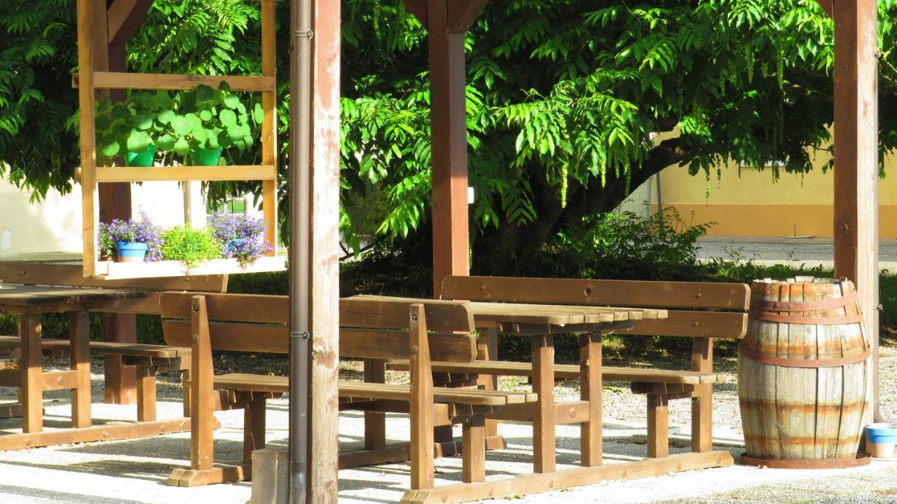 Agriturismo Rivieraoglio Piadena 외부 사진