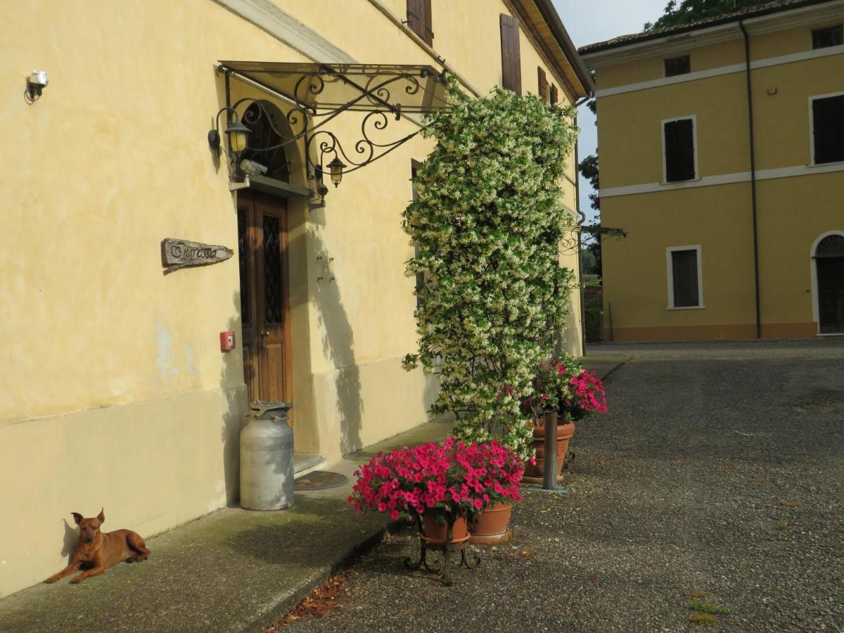 Agriturismo Rivieraoglio Piadena 외부 사진