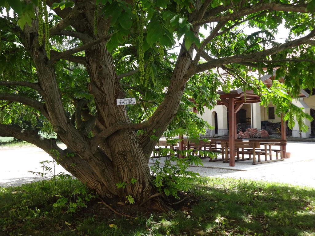 Agriturismo Rivieraoglio Piadena 외부 사진