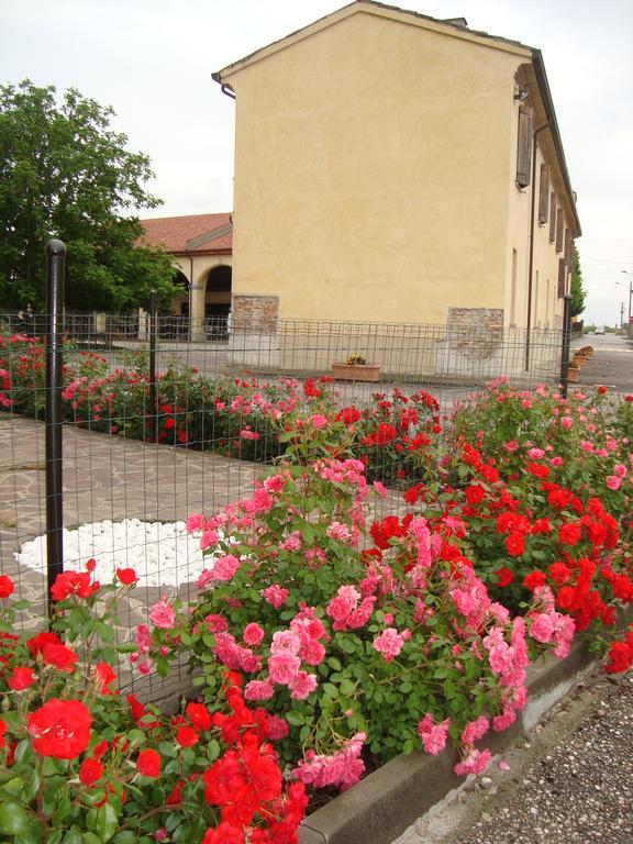 Agriturismo Rivieraoglio Piadena 외부 사진