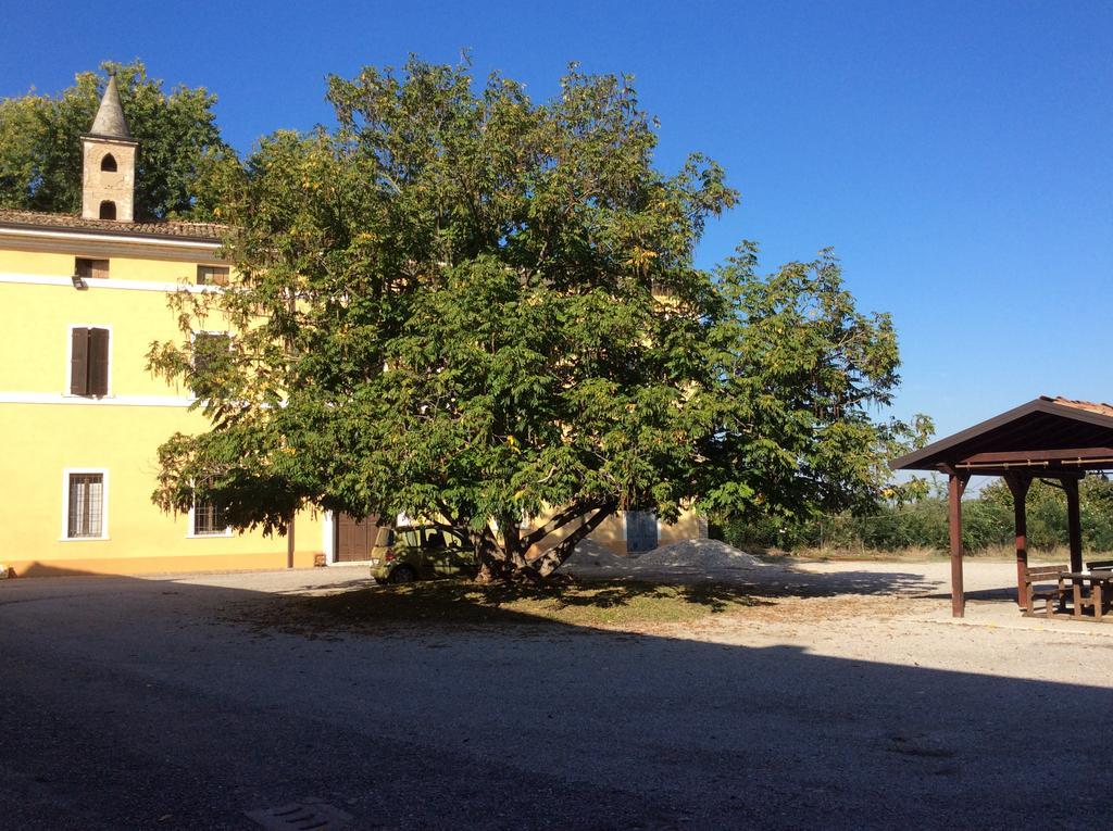 Agriturismo Rivieraoglio Piadena 외부 사진